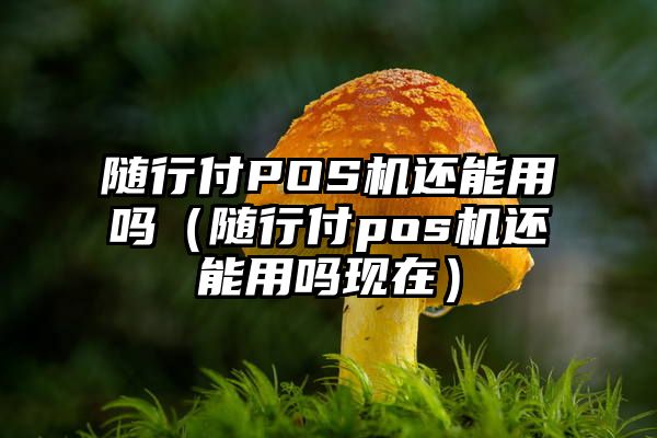 随行付POS机还能用吗（随行付pos机还能用吗现在）